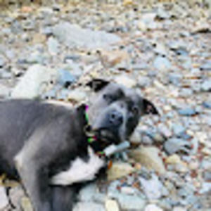 Meet your Posher, Jaime